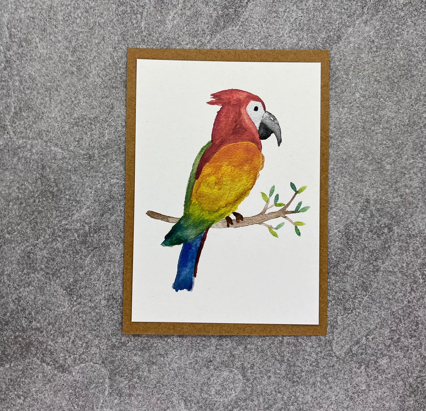 Postkarte Papagei