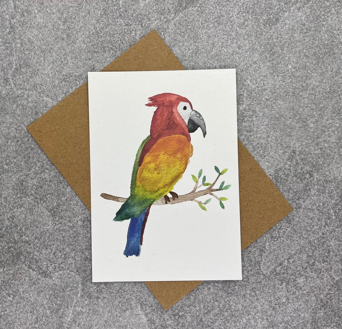 Postkarte Papagei